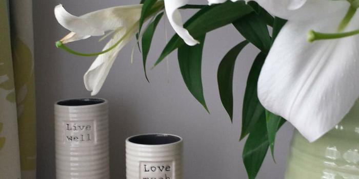 910x1618 HD wallpaper: lilies, dead flowers, petal, live, love, laugh