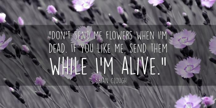 1920x1200 Flowers Picture Quotes and Wallpaper