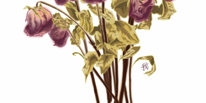 768x1024 Dead flowers png 1 » PNG Image