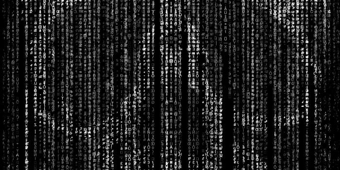 1920x2469 HD Hacker Skull Wallpaper · #7827 · Wallpapers.io