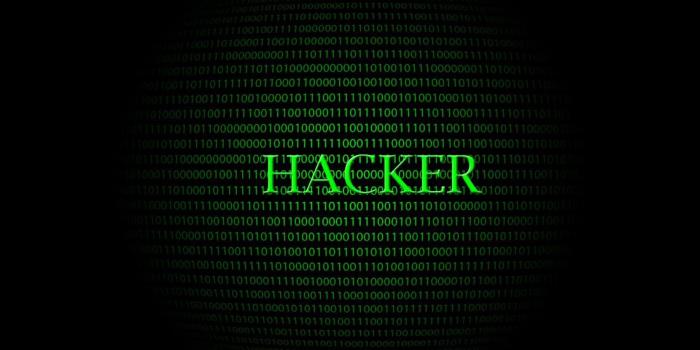 1660x900 Green Hacker Skull Wallpapers HD