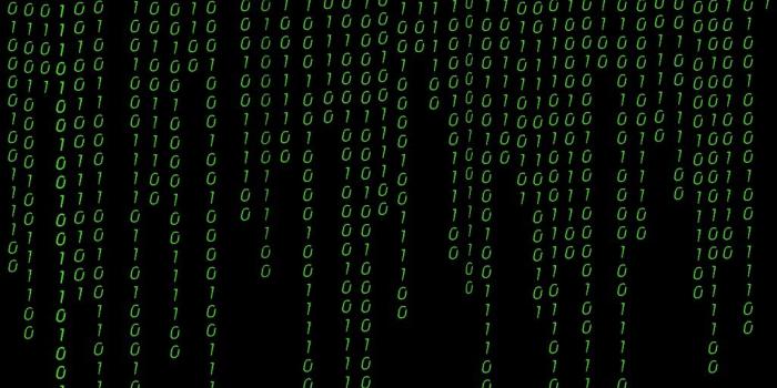 1024x768 Hacker Live Wallpaper New Green Hacker Skull Wallpapers Hd