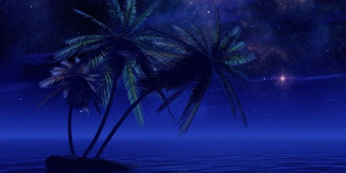 1990x1492 Tropical Night HD Wallpaper | Background Image | 1990x1492 | ID