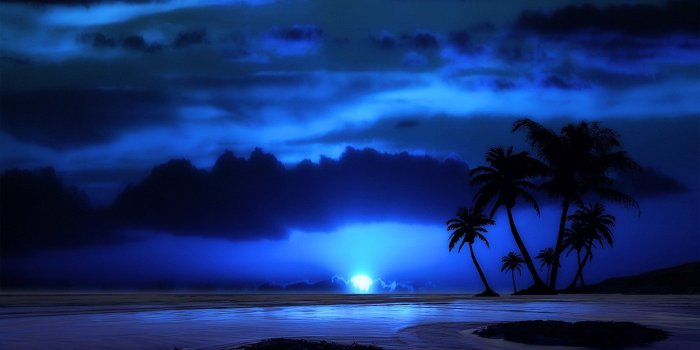 1920x1200 Artistic Beach Artistic Tropical Palm Tree Night Ocean Sea Blue