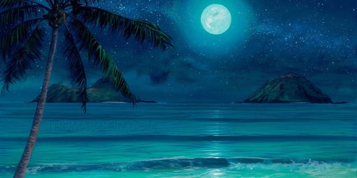 1200x1003 Best 36+ Painting Tropical Night Wallpaper on HipWallpaper