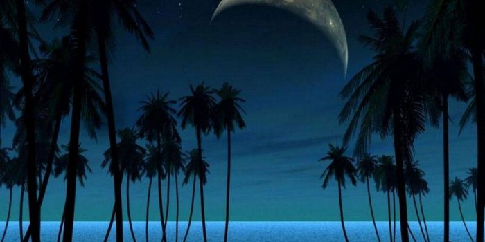 1440x1280 Tropical Night Sky wallpaper by jstang - 83 - Free on ZEDGE™
