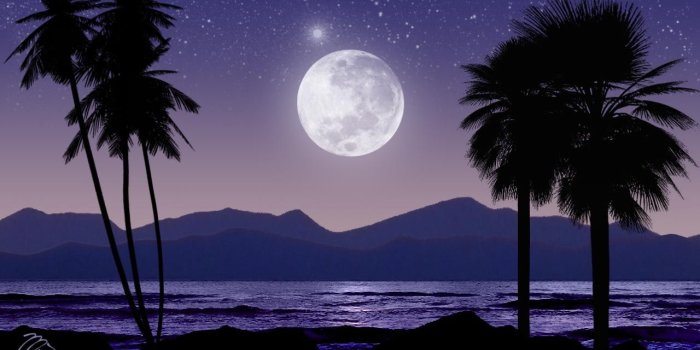 1280x800 Best 36+ Painting Tropical Night Wallpaper on HipWallpaper