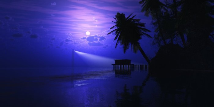 1920x1200 Tropical Night HD Wallpaper | Background Image | 1920x1200 | ID