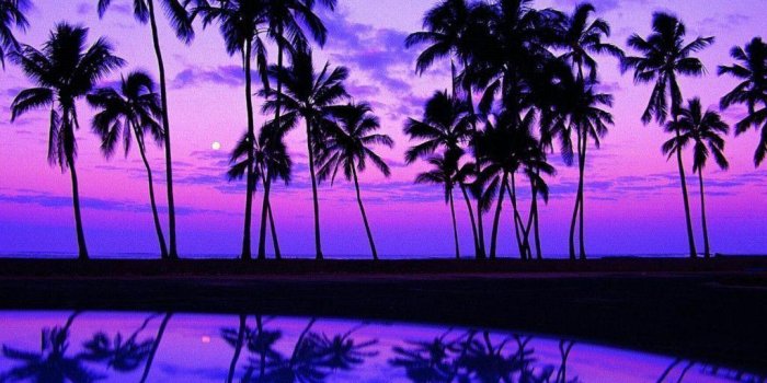 1024x768 Beach At Night Wallpapers