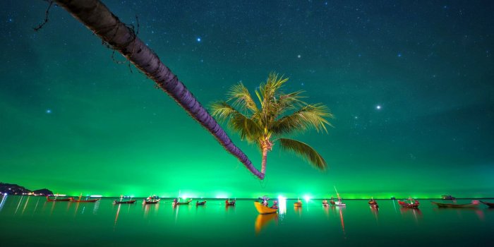 1600x900 Download wallpaper Green Tropical Night, shine, palm, Boat free
