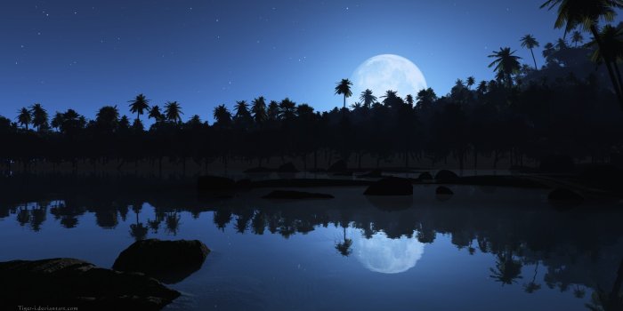 2560x1600 72+ Beach Night HD