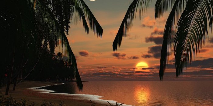 1280x800 Tropical Night Live Wallpaper for Android - APK Download
