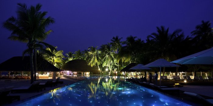 2560x1600 Best 34+ Tropical Nightclub Background on HipWallpaper | Jazz