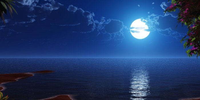 2560x1080 Download 2560x1080 wallpaper tropical beach, coast, full moon