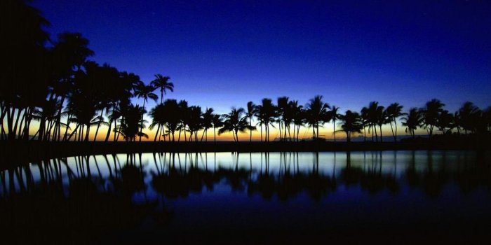 1280x800 Tropical Night Live Wallpaper for Android - APK Download