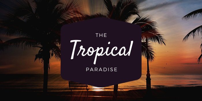 1600x900 Night Tropical Ocean Desktop Wallpaper - Templates by Canva