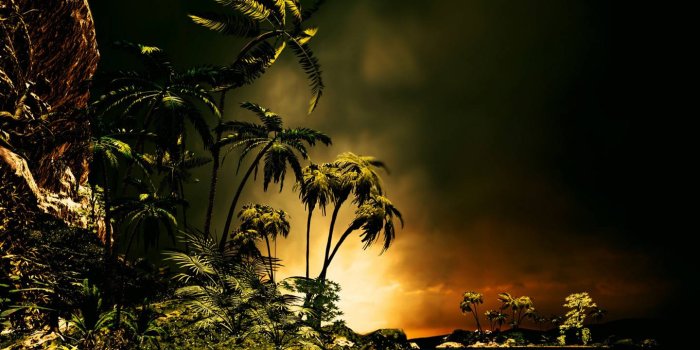 1440x1280 Tropical Night wallpaper by _Savanna_ - b8 - Free on ZEDGE™