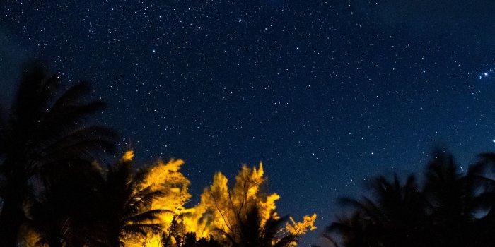 2560x1440 Tropical trees under a starry sky HD Wallpaper Youtube Cover Photo