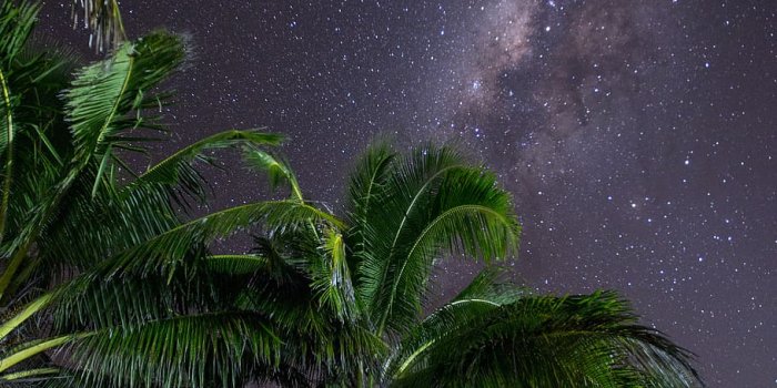 910x1365 HD wallpaper: tonga, astro, night, tropical, coconut, palm, milky