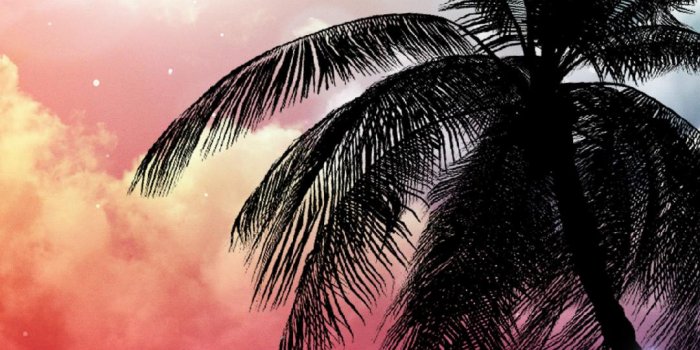 1080x1920 Tropical Night Live Wallpaper for Android - APK Download