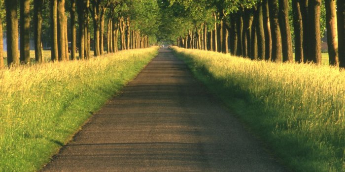 1920x1080 Free download Path HD Wallpaper Background Image 2560x1600