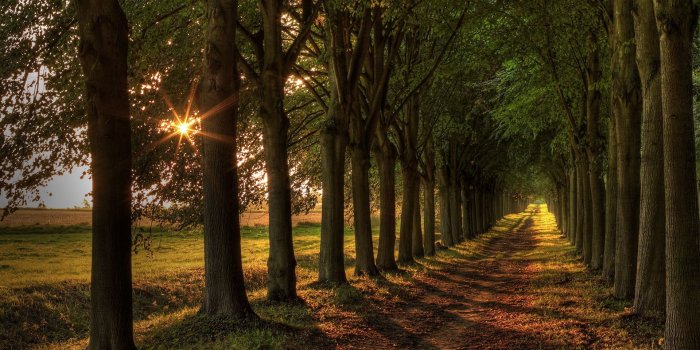 1920x1080 Free download Path HD Wallpaper Background Image 1920x1280