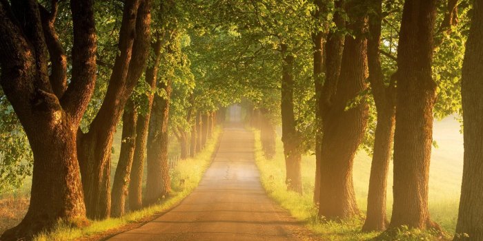 1920x1080 Path, Of, Glory, HD, Free, Desktop Images, 1920x1080 - The Wallpaper