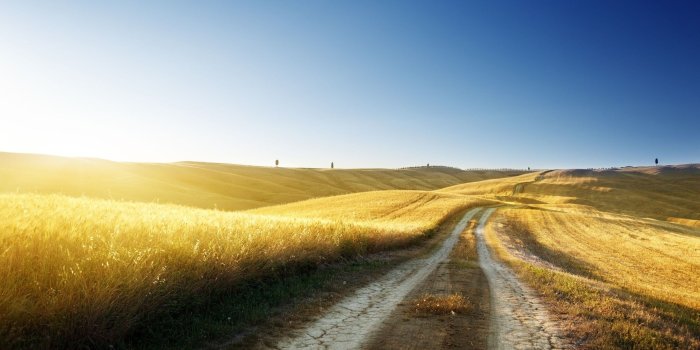 2560x1600 Golden Fields Road Path Desktop Wallpaper
