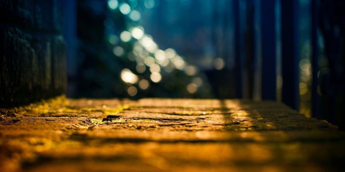 1920x1200 sunlight, Depth Of Field, Bokeh, Nature, Path Wallpapers HD