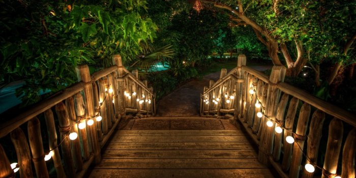 2560x1440 Wooden Path Desktop Wallpapers HD Wallpaper Backgrounds Of Your