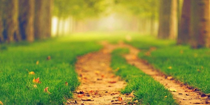 1920x1080 16 whimsical autumn pathways that are impossible not to fall in