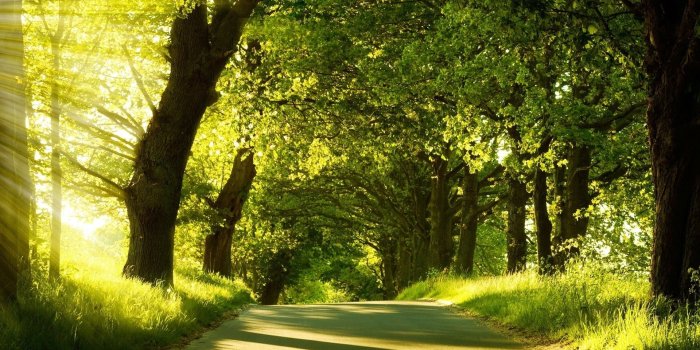 1920x1200 Path HD Wallpaper | Background Image | 1920x1200 | ID:401375