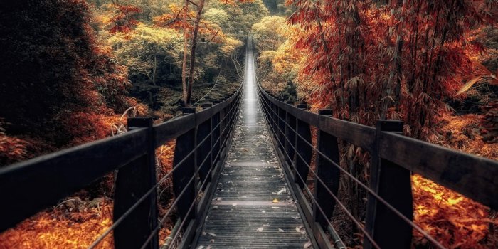 2048x1365 Best 49+ Walkway Wallpaper on HipWallpaper | Walkway Dreams