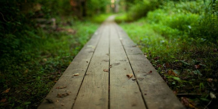 2560x1600 Nature & Landscape Wooden Path wallpapers (Desktop, Phone, Tablet