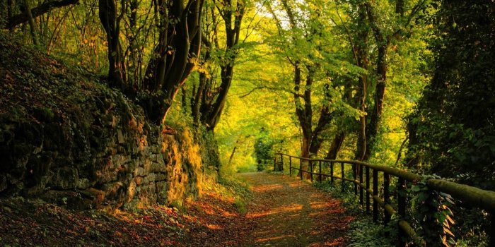 1920x1080 Download hd 1080p Path desktop background ID:465397 for free