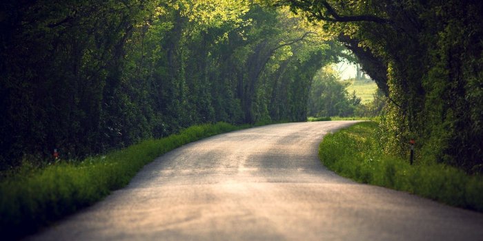 1920x1080 path, Nature, Blurred, Tunnel, Trees, Road Wallpapers HD / Desktop