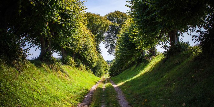 1920x1200 Path Wallpaper HD 46823 1920x1200px