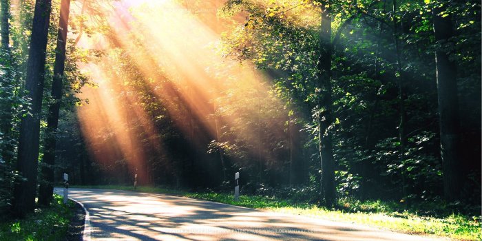 1920x1080 Paradise path Desktop wallpapers 1920x1080