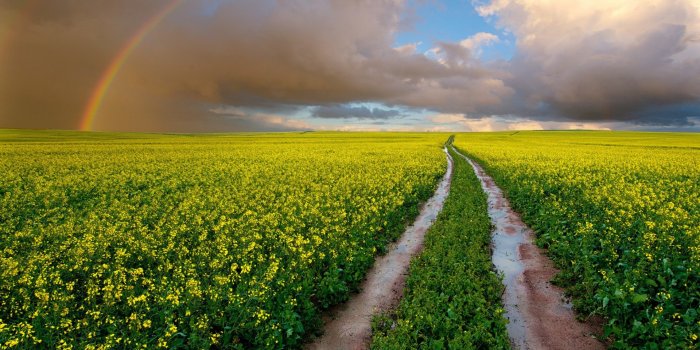 1920x1200 Path wallpapers HD for desktop backgrounds