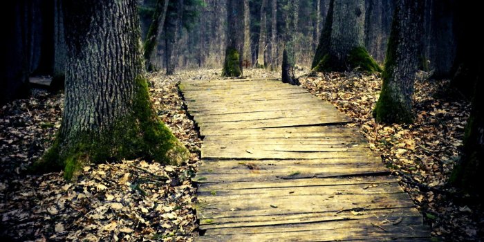 2048x1536 11 wooden path lights wooden path beautiful picture wooden path