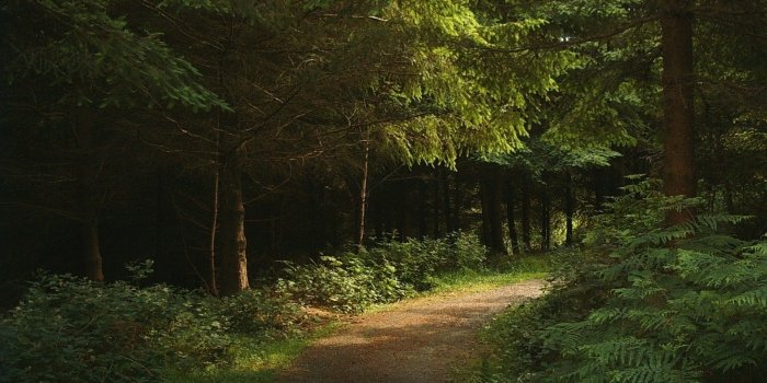 1920x1080 Nature (hd-wallpaper ) - pling.com