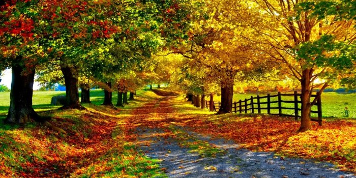 1366x768 Path wallpapers 1366x768 (laptop) desktop backgrounds