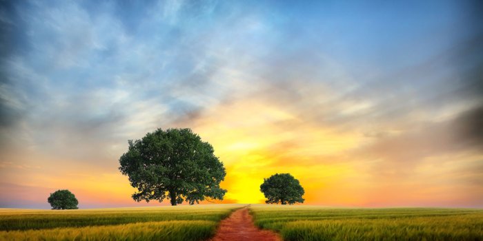 1920x1200 Path Background wallpaper | 1920x1200 | #35031