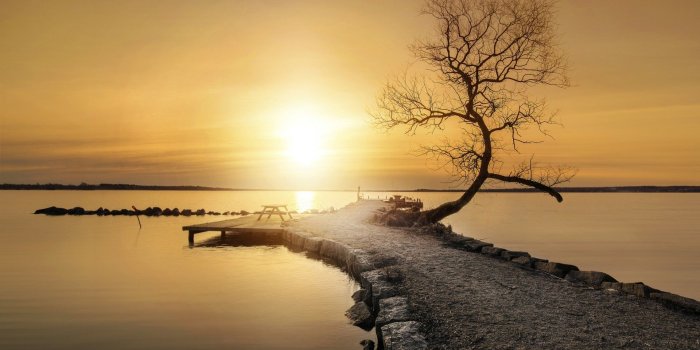 1920x1080 nature, Landscape, Water, Sea, Trees, Path, Pier, Horizon, Calm