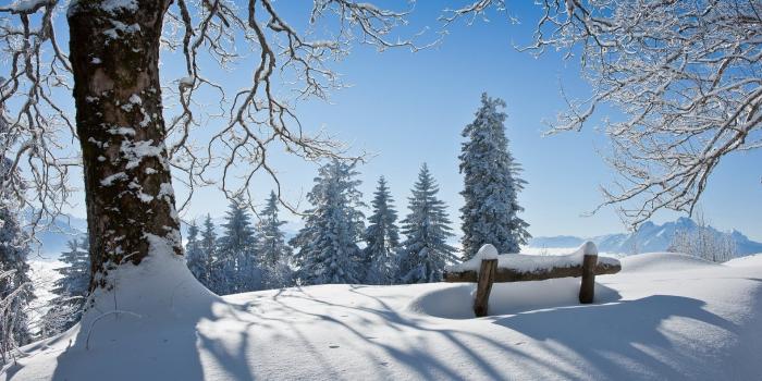 1920x1200 Winter Scenery HD Wallpaper 18719 1920x1200px