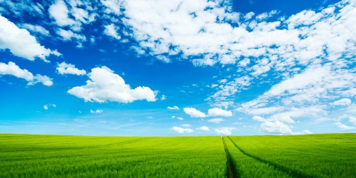 1600x1000 Scenery Backgrounds: Beautiful Summer Scenery Wallpaper