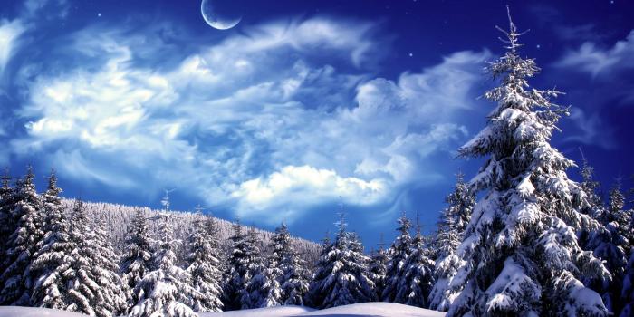 1920x1080 Winter Wonderland Wallpapers - Top Free Winter Wonderland