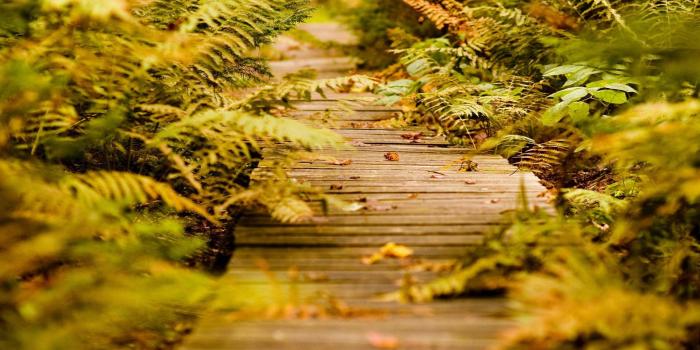 1600x1200 Scenery Backgrounds: January 2013