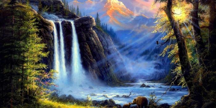 1920x1080 Four Pre Forests Attractions Beautiful Scenery Seasons - Sun Shine