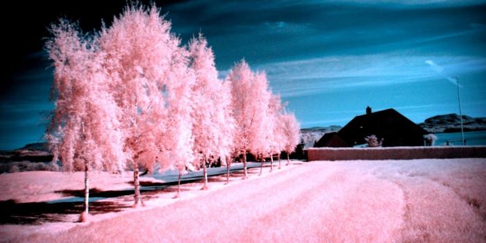 1466x916 Pink Scenery Wallpapers - Top Free Pink Scenery Backgrounds